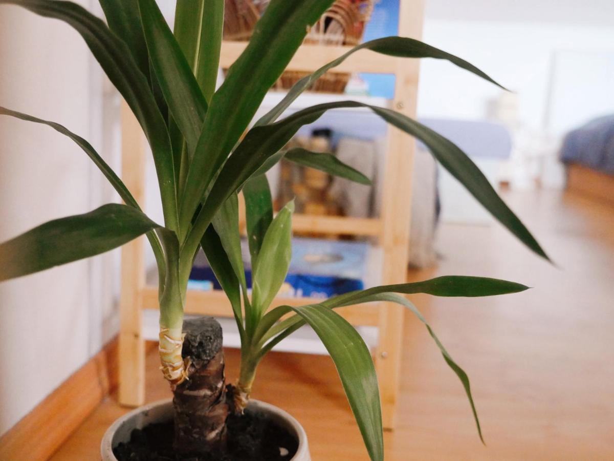 Apartment U Slunskych Valtice
